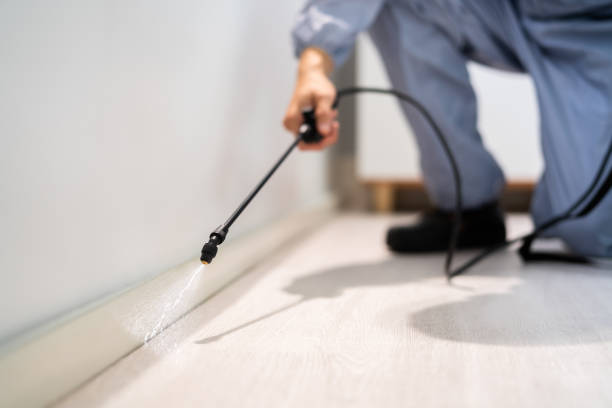 Licensed Ant Control service in Marion County County, GA - Nex Pest Control