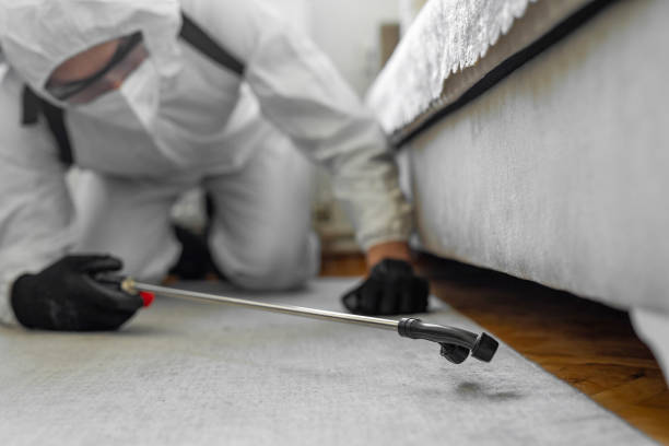 Professional Ant Control technician working in Marion County County, GA